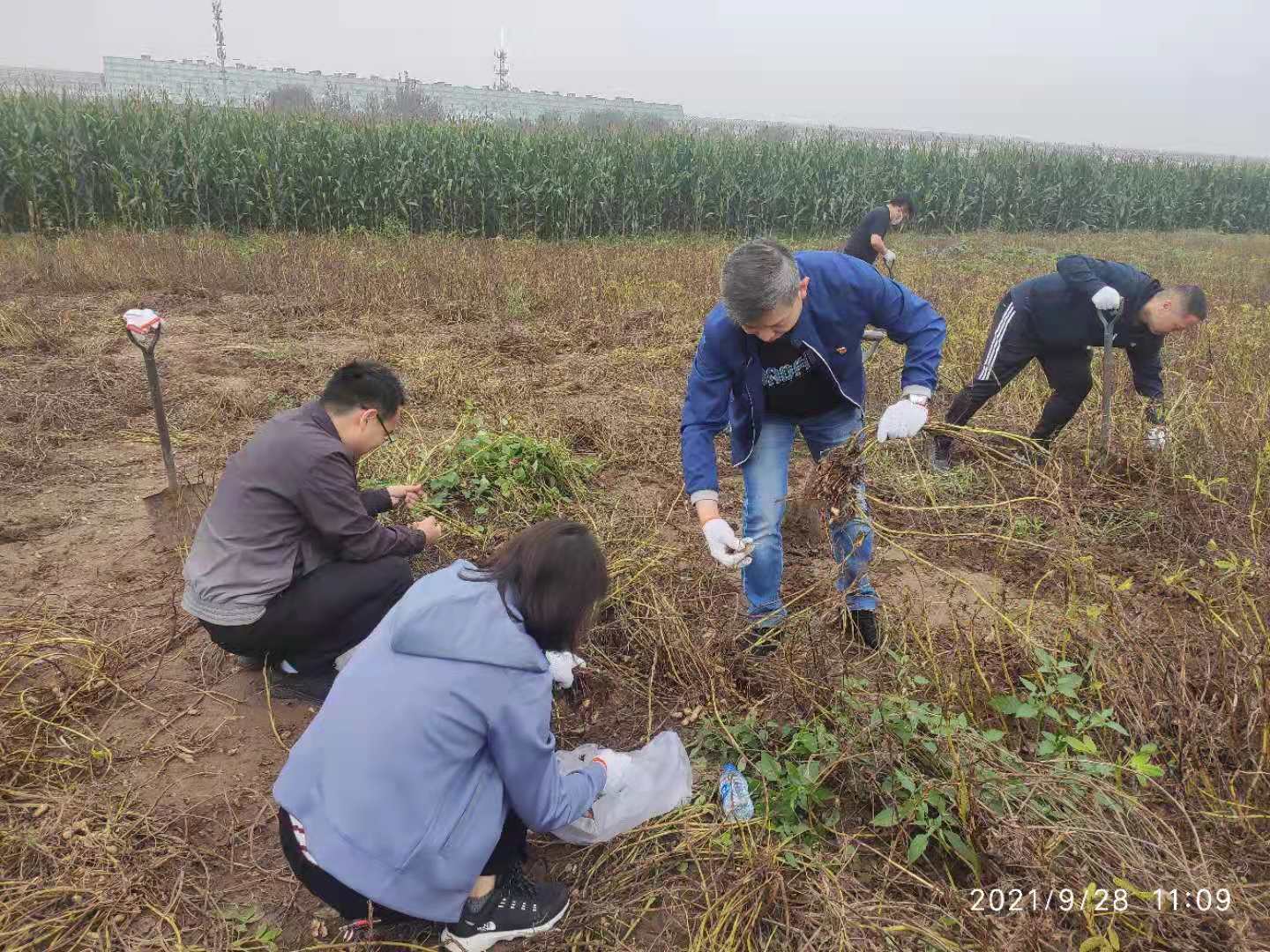 28圈(中国)官方网站